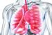 Potential new treatment for cystic fibrosis uncovered