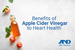 Benefits of Apple Cider Vinegar to Heart Health